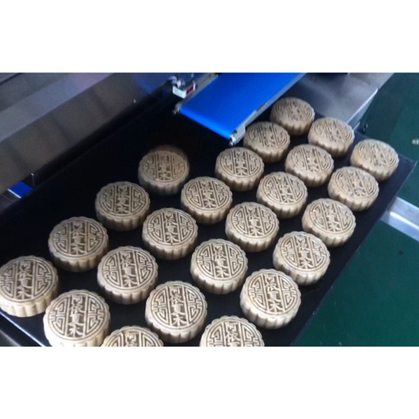 Automatic Tray Arranging Machine